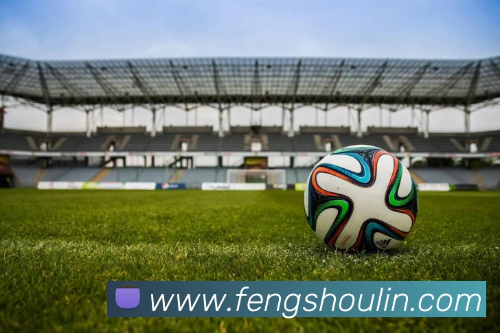 App Interface Preview